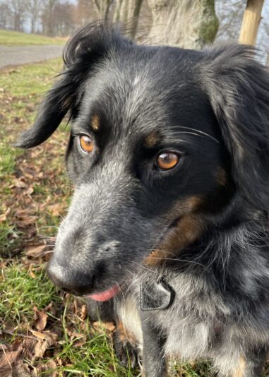 7626AF19-4466-4892-8C87-ED4CBFF2AC1C