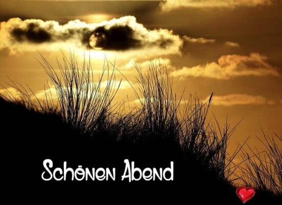 101398315_1431861503684043_8512808507056062464_n