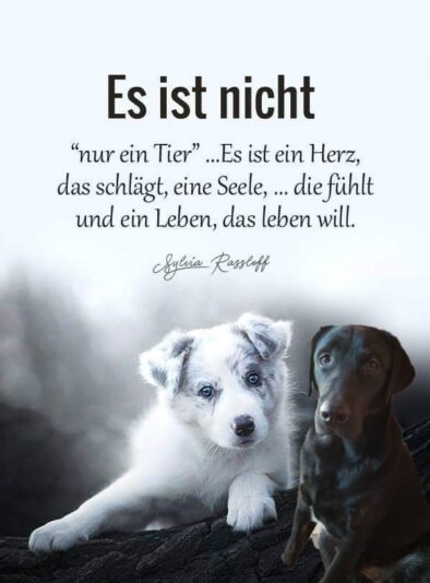 dd937fe8e5b17eb3f089237413ebc64e