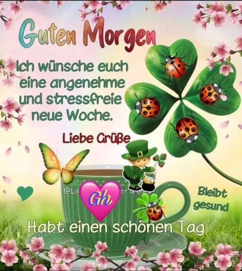 437575020_452670613875143_8203509171214469045_n