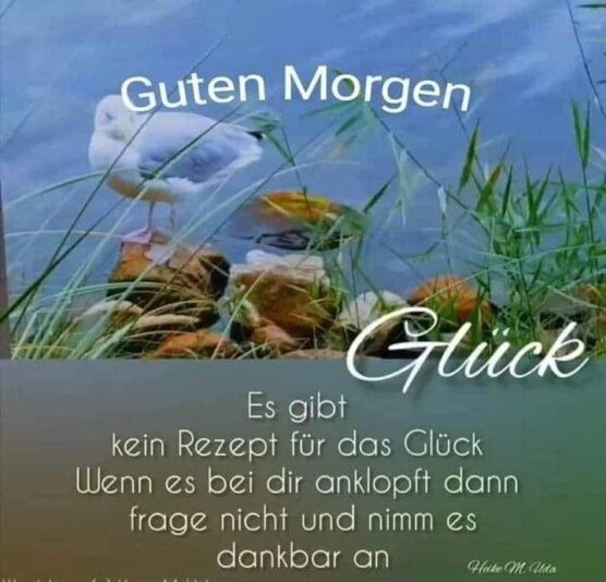 177312284_10219811067335907_7364182577799563754_n