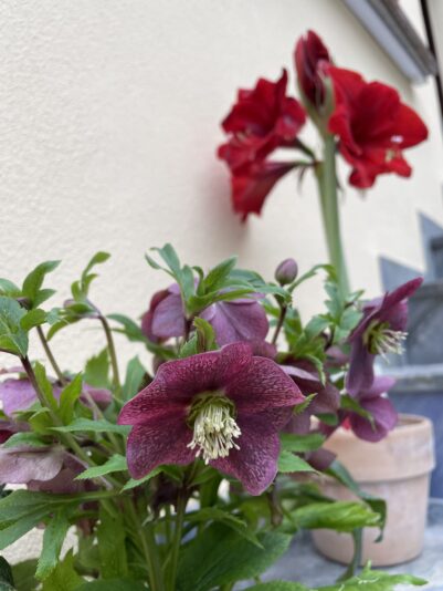 46C7641E-B82D-40D4-9410-6A6BE83E40B9