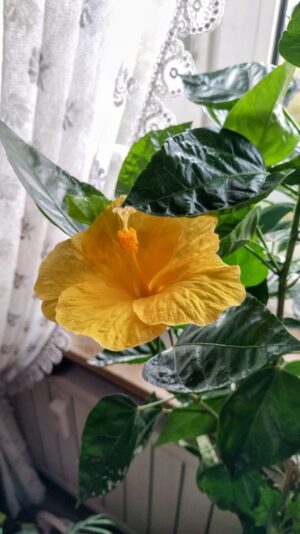 IMG_20220910_103321~2