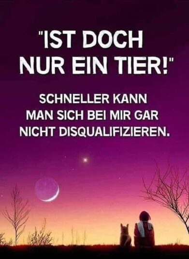 289357102_742862267054244_3304128764437044862_n