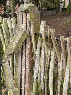 C15332CD-E113-4269-A74D-80D92A171706