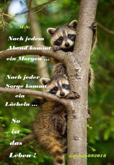 4ba177be5589b4734ffb9797d1551880