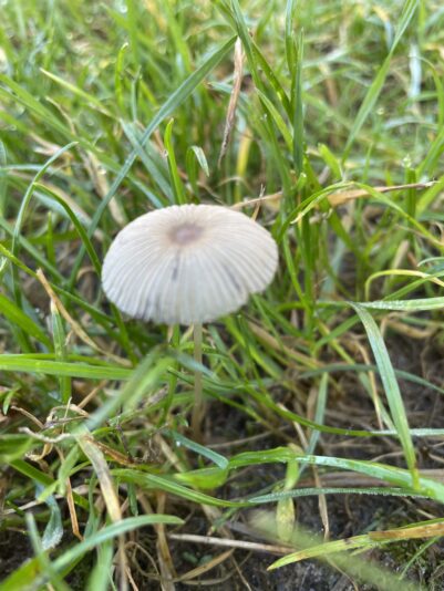 A0D3EB38-2DC3-42B9-8965-5F8A7A6AAFE8