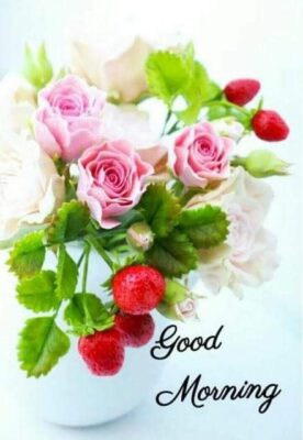 200017357_364480188432243_6417996820244121086_n (1)