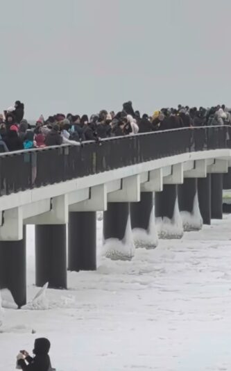 Screenshot_20260209_093546_Instagram