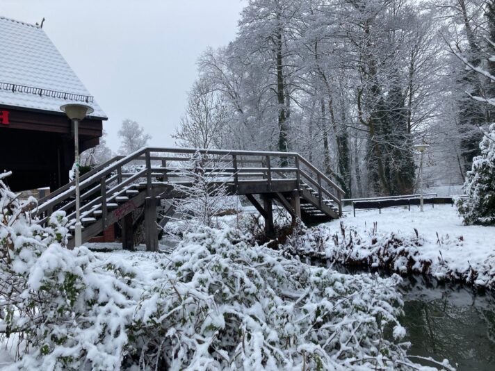 265164387_4650187008409809_1714148154398735249_n