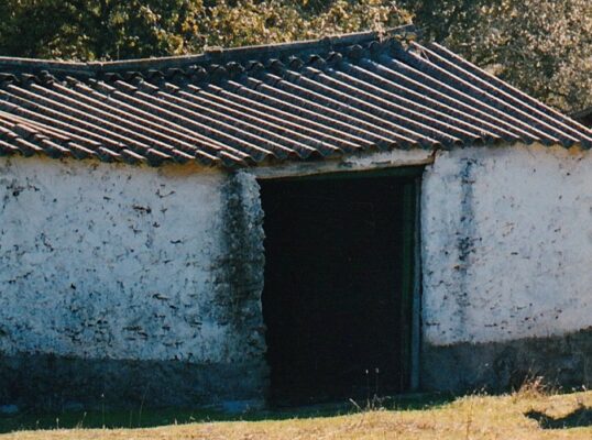 20230325072533_006~5