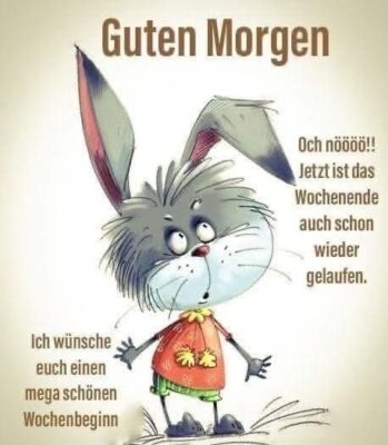 FB_IMG_1753684206474