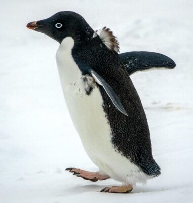 Screenshot_20260116_182442_Google