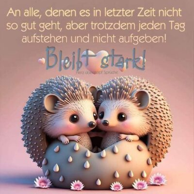 330777617_687739999767773_5143761665140895903_n (1)