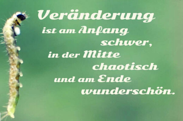 07A0A43E-F293-4E8B-81B2-50D7D559BAD4