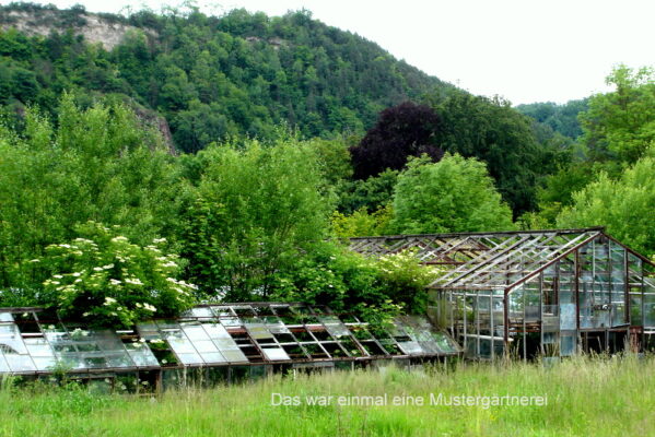Das war einmal eine Mustergärtnerei