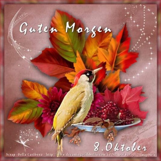 IMG_5448.JPG 08.10.24