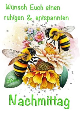 420224705_1072657837139655_346490012176013322_n (1)