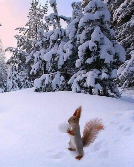 147393384_1150325052066785_6619973011219562419_n