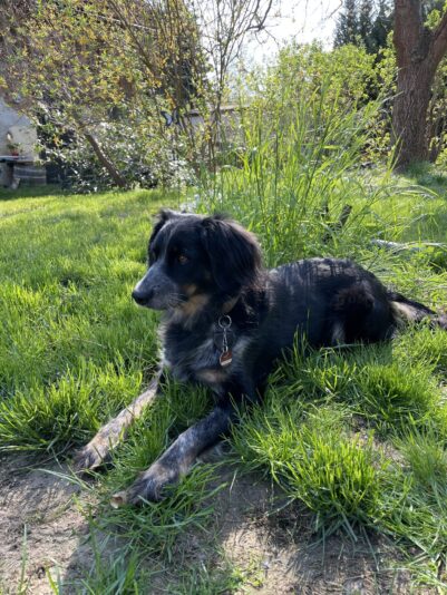 CE774CB4-2E80-427C-9931-C6E90091FD16