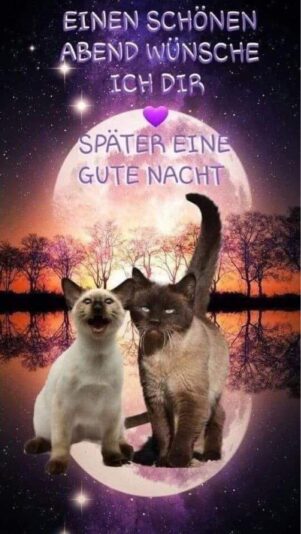 140672545_849638662560785_7894207253170062581_o.jpg ABEND