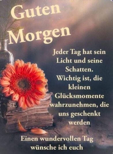 IMG_6529.JPG guten Morgen