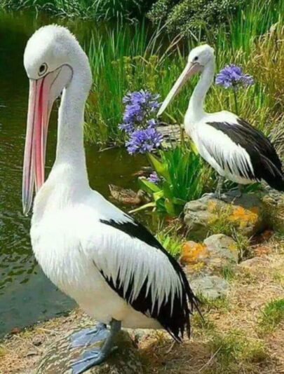 271206103_2063676287114573_457726813688687855_n