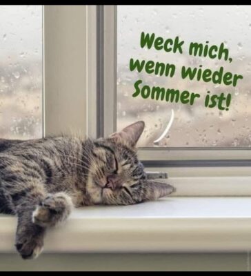 730a6f8b-f3d9-475d-bb7f-0250d348dd4e