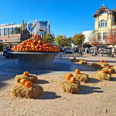 48fa549b-a948-45dd-a273-f62f84ef56cf