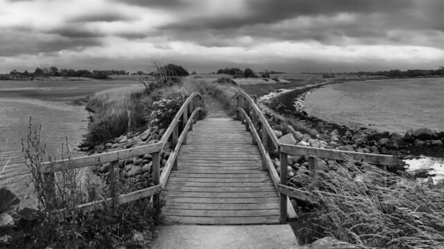 2012_Wittensee_00230d