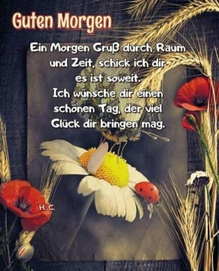 305847762_178364581354086_8455648951380526391_n (2)