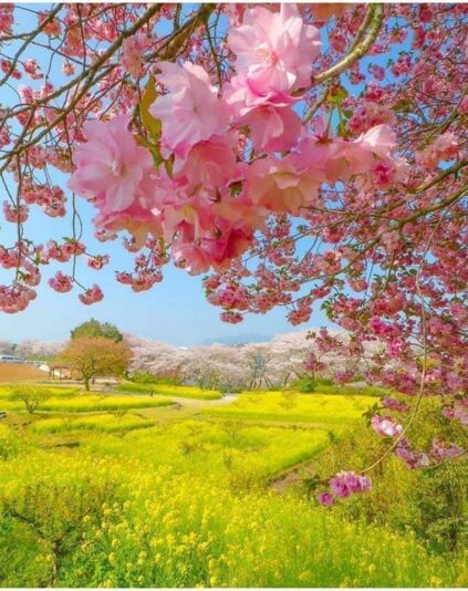 180019594_497613421277937_7927998872616114804_n