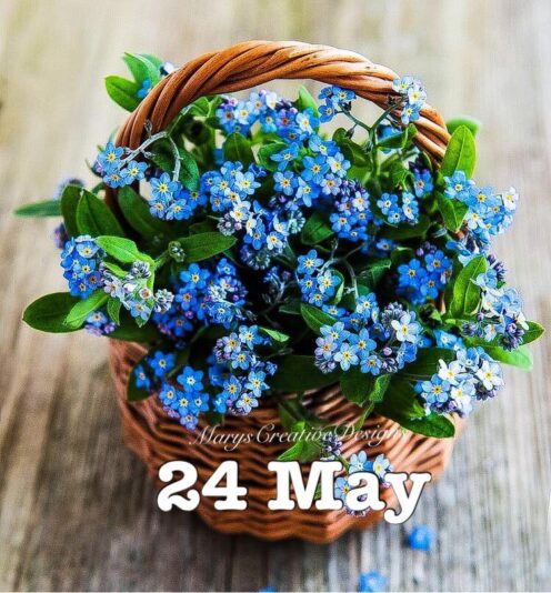 281754727_3203414239896371_3121054178947655782_n (2)