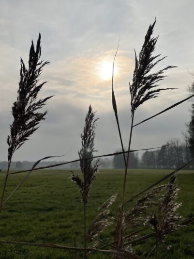 C05B7F7F-3B2D-4308-94E2-B40F03A70138