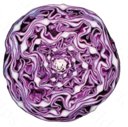 Bild_2025-12-06_142326155