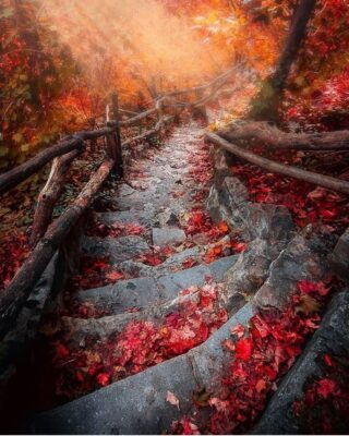 129327920_1301359793565091_3200527426734574873_o