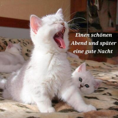 eda0fd19-279e-4b9d-ba06-dab582ab40d9