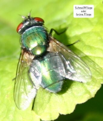 Screenshot_20220622-151908_Chrome