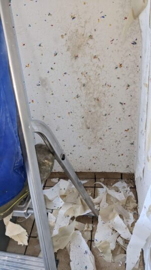 PXL_20230527_122952472