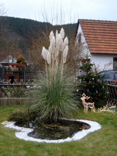 Weihnachten in Weißen - "Kains Hof".