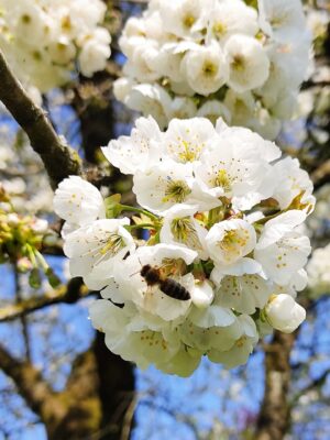 IMG_20230417_122219~2