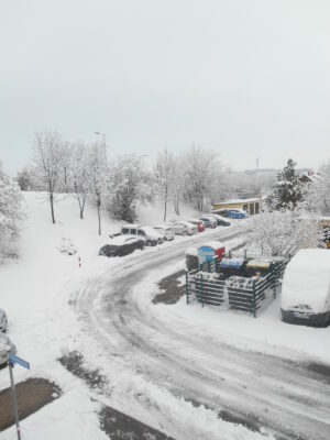 Ein tag mit geli auf der EGA 2018 034