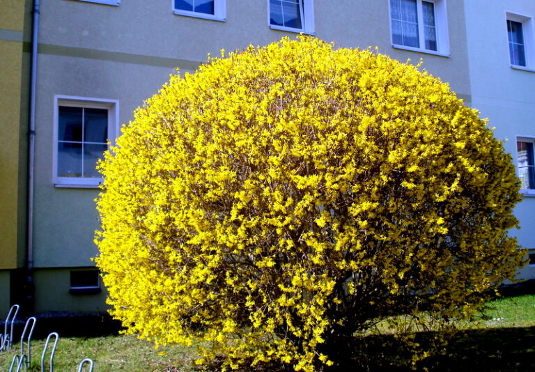Am Sonntagvormittag im März.