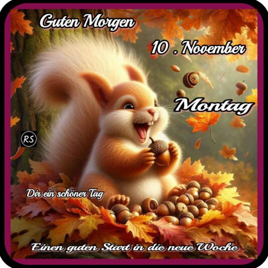 579398222_2227827054372906_5607056999482660743_n (2)