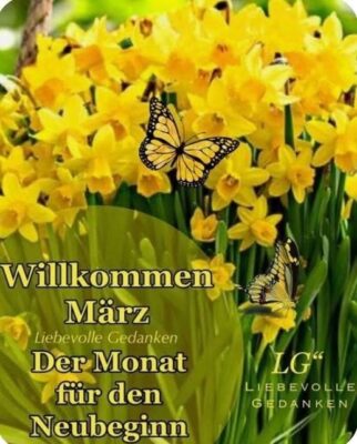 IMG_7149.JPG Monat März