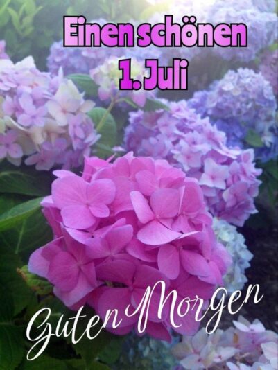 449194968_441711648634925_633242936912302844_n (1)