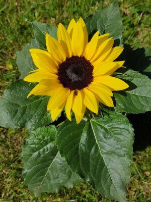 IMG_20220712_112648~2