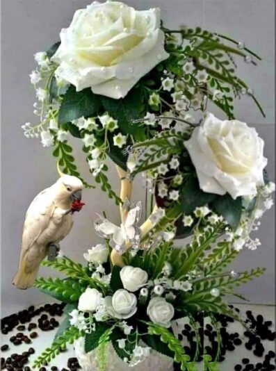 320075347_566032418701238_8019446182325991055_n