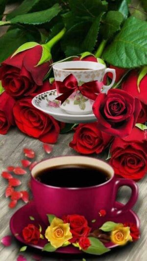 102868651_358300831817388_1718306413348562013_n