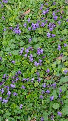 IMG_20240227_091500498